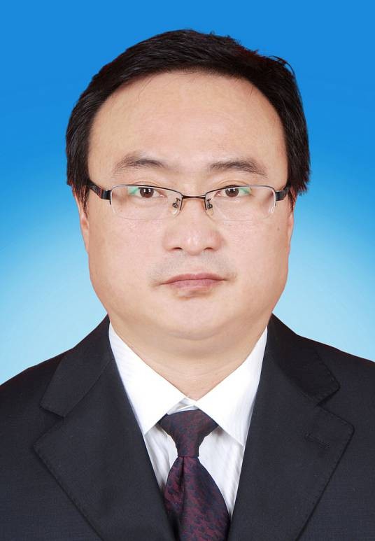 张伟(陕西省榆林市靖边县人力资源和社会保障局党组成员、副局长(正科级))