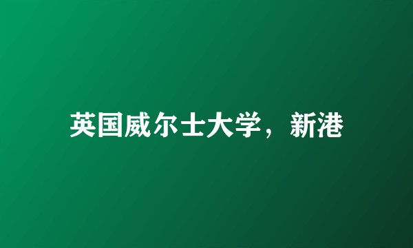 英国威尔士大学，新港