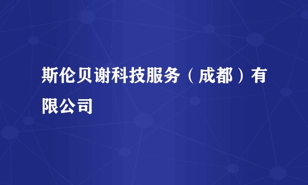 斯伦贝谢科技服务（成都）有限公司