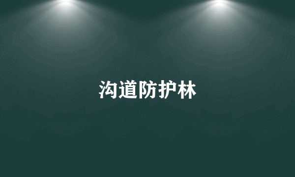 沟道防护林