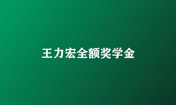 王力宏全额奖学金