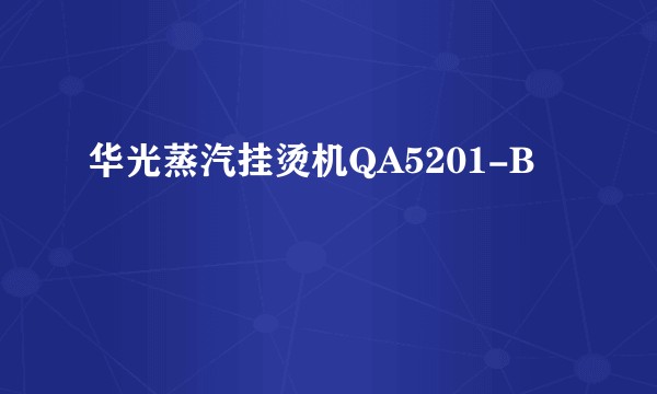 华光蒸汽挂烫机QA5201-B