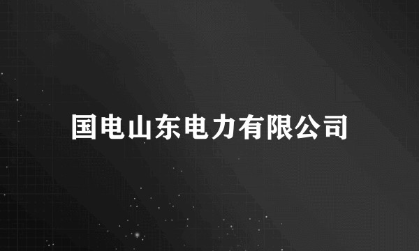 国电山东电力有限公司