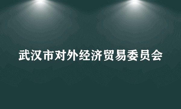 武汉市对外经济贸易委员会