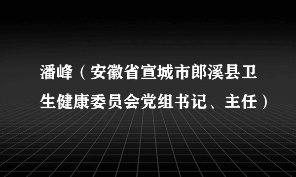 潘峰(安徽省宣城市郎溪县卫生健康委员会党组书记、主任)