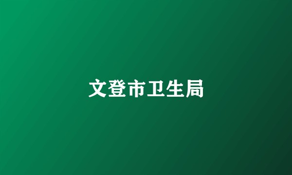 文登市卫生局