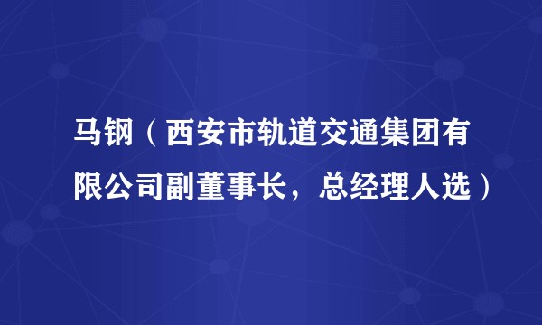 马钢(西安市轨道交通集团有限公司副董事长,总经理人选)