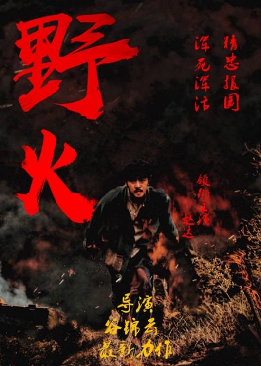 野火(2016年谷锦云执导的抗战剧)