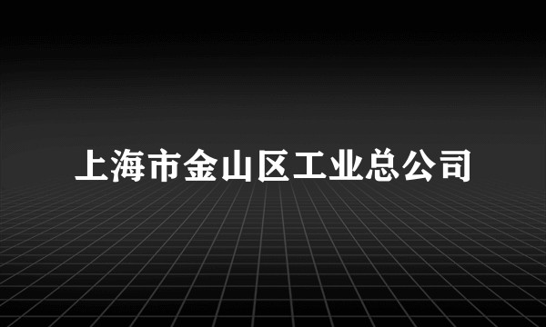 上海市金山区工业总公司