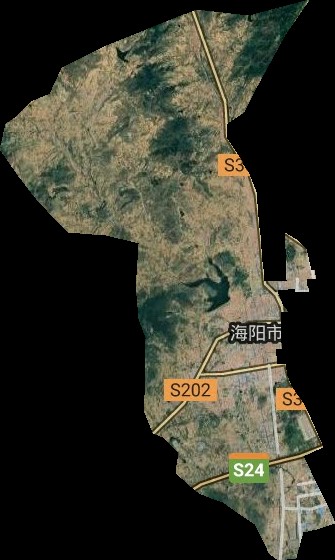 东村街道