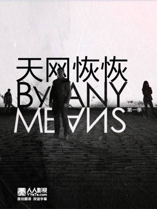 天网恢恢(2013年英国BBC电视剧)