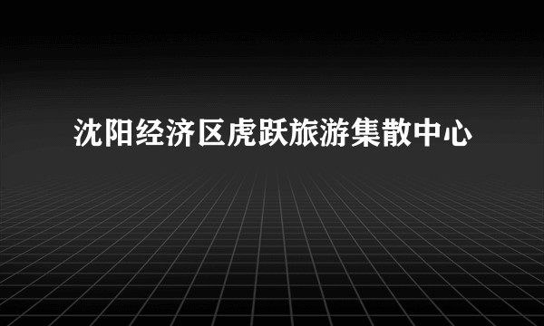 沈阳经济区虎跃旅游集散中心