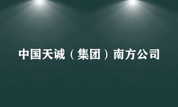 中国天诚（集团）南方公司