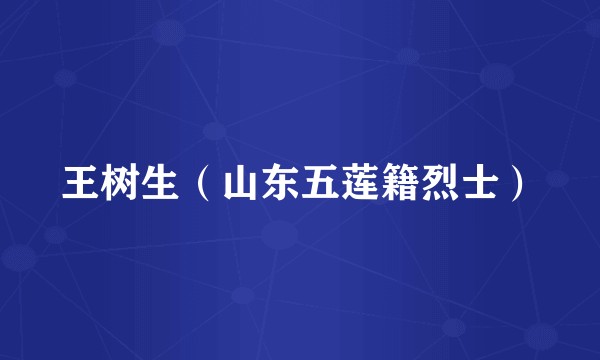 王树生（山东五莲籍烈士）