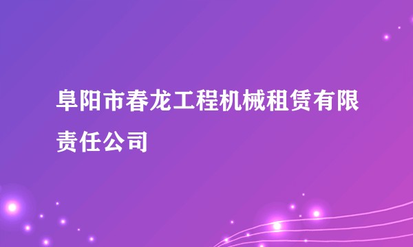 阜阳市春龙工程机械租赁有限责任公司