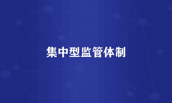 集中型监管体制