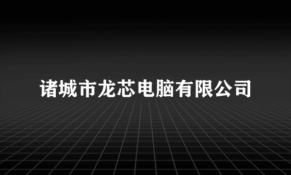 诸城市龙芯电脑有限公司