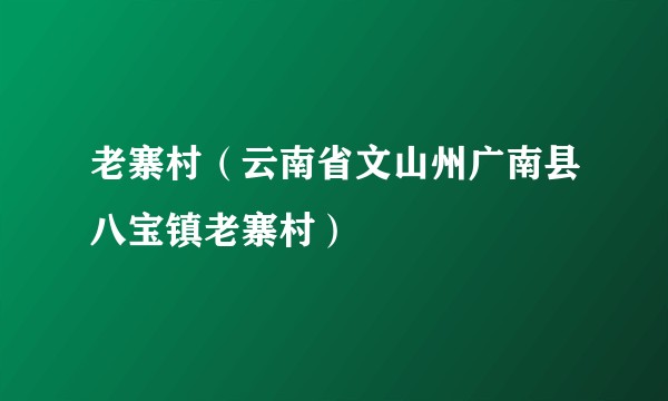 老寨村（云南省文山州广南县八宝镇老寨村）