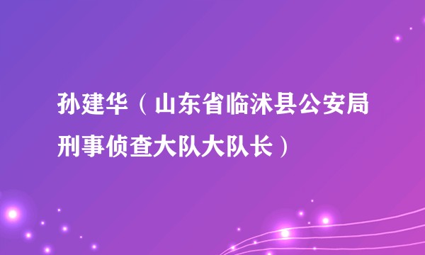 孙建华（山东省临沭县公安局刑事侦查大队大队长）