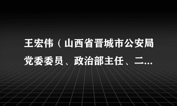 王宏伟(山西省晋城市公安局党委委员、政治部主任、二级高级警长)