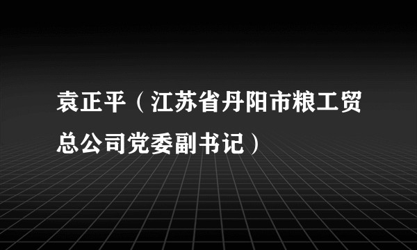 袁正平（江苏省丹阳市粮工贸总公司党委副书记）