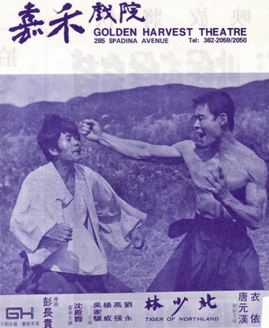 北少林（1976年彭长贵执导的动作电影）