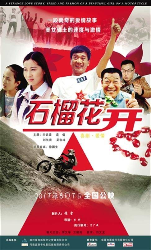 石榴花开(2017年张雷执导豫剧电影)