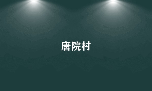 唐院村