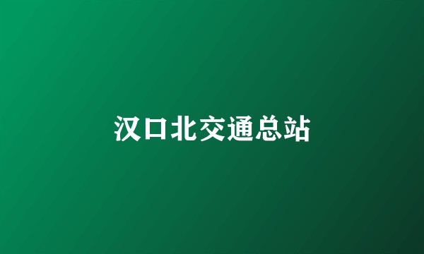 汉口北交通总站