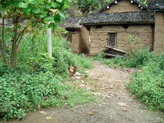 古里村(云南普洱市景东县景福乡下辖村)