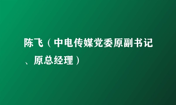 陈飞（中电传媒党委原副书记、原总经理）