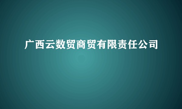 广西云数贸商贸有限责任公司