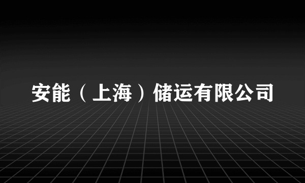 安能（上海）储运有限公司