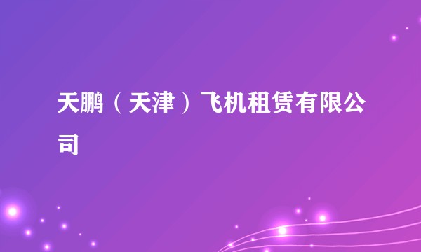 天鹏（天津）飞机租赁有限公司