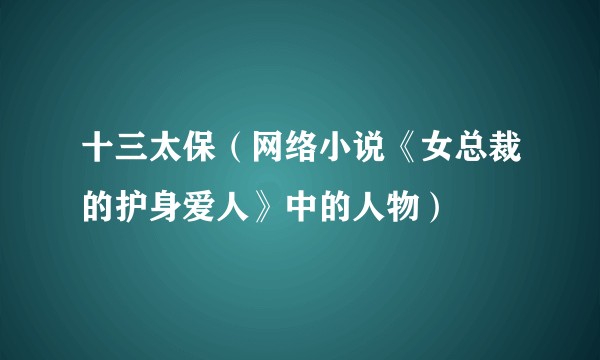 十三太保(网络小说《女总裁的护身爱人》中的人物)