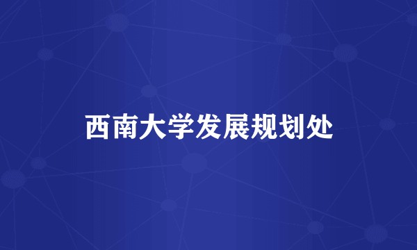西南大学发展规划处