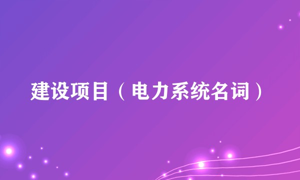 建设项目(电力系统名词)