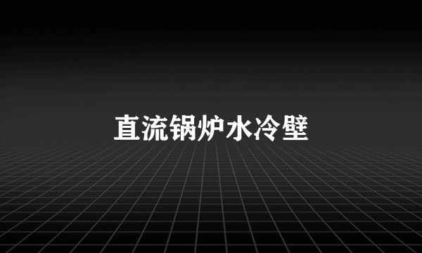 直流锅炉水冷壁