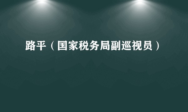 路平（国家税务局副巡视员）