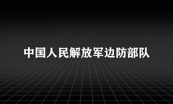 中国人民解放军边防部队