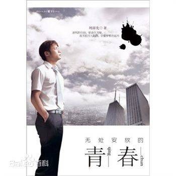 无处安放的青春(2010年重庆出版社出版的图书)