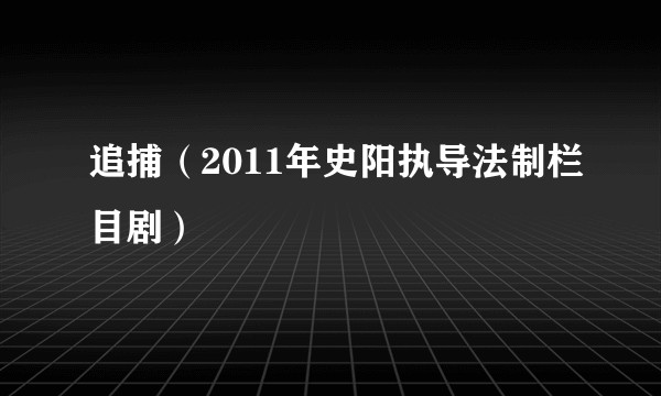 追捕（2011年史阳执导法制栏目剧）
