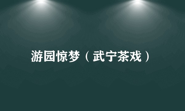游园惊梦（武宁茶戏）