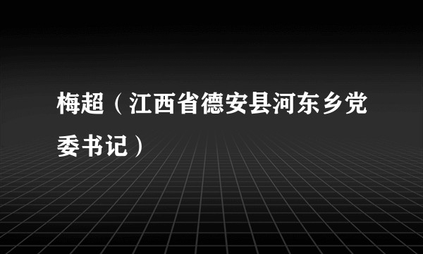 梅超（江西省德安县河东乡党委书记）