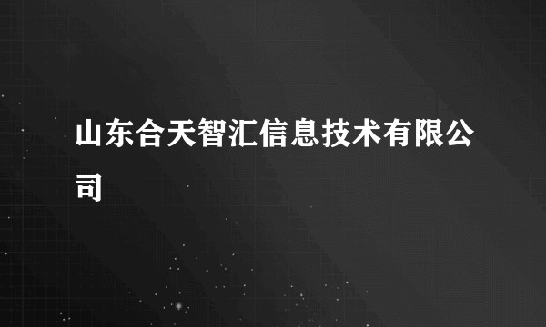 山东合天智汇信息技术有限公司