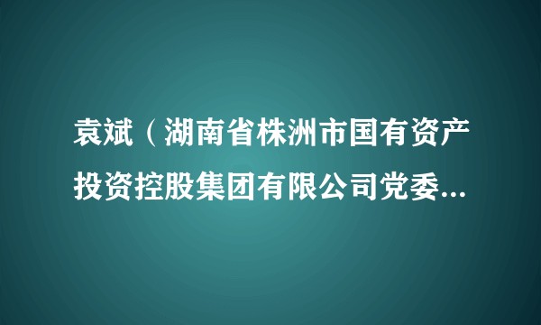袁斌（湖南省株洲市国有资产投资控股集团有限公司党委委员、副总经理）
