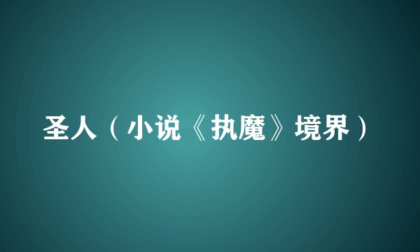 圣人（小说《执魔》境界）