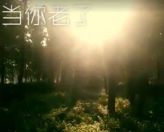 当你老了（王乐乐创作微视频系列）