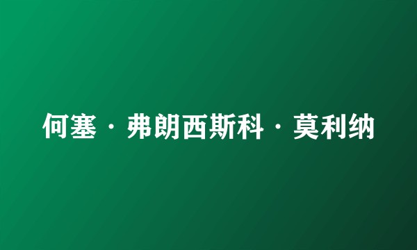 何塞·弗朗西斯科·莫利纳