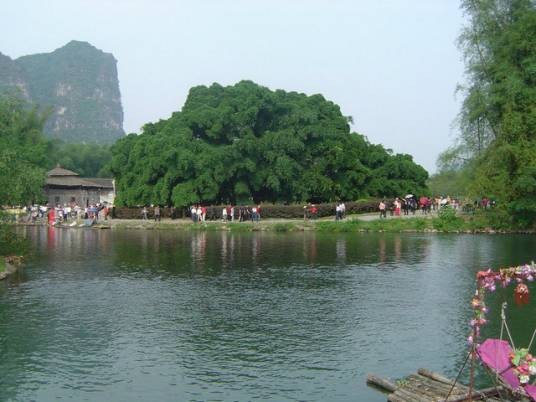 古榕公园(广西壮族自治区桂林市古榕公园)